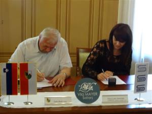 Sanacija plazu Melanšek