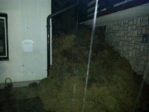 Zaradi plazu evakuirane tri hiše