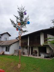 5D49F069-436C-4704-9E44-BE08BDE86168