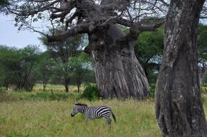 tanzanija1
