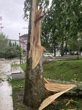 Neurje z vetrolomom v občini Šoštanj