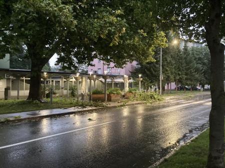 Neurje z vetrolomom v občini Šoštanj