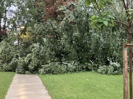 Neurje z vetrolomom v občini Šoštanj