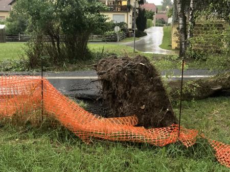 Neurje z vetrolomom v občini Šoštanj
