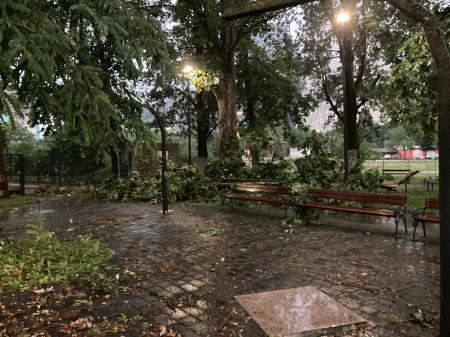 Neurje z vetrolomom v občini Šoštanj