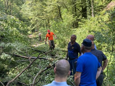 Neurje z vetrolomom v občini Šoštanj