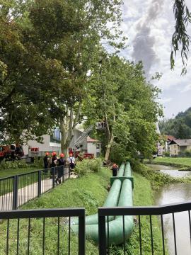 Neurje z vetrolomom v občini Šoštanj