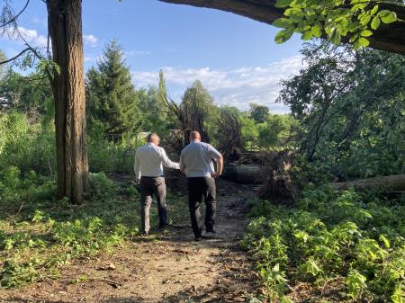 Neurje z vetrolomom v občini Šoštanj