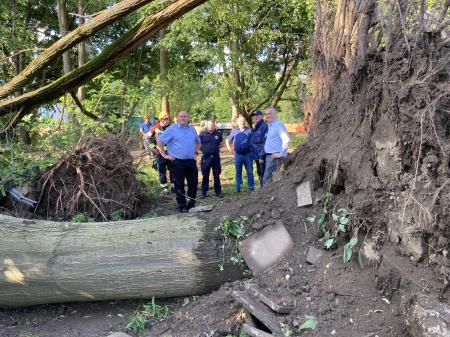 Neurje z vetrolomom v občini Šoštanj