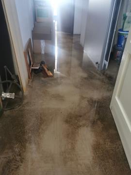 Neurje z vetrolomom v občini Šoštanj