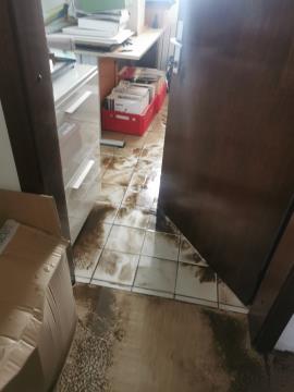 Neurje z vetrolomom v občini Šoštanj