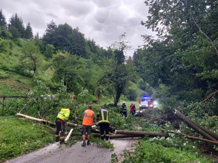 Neurje z vetrolomom v občini Šoštanj