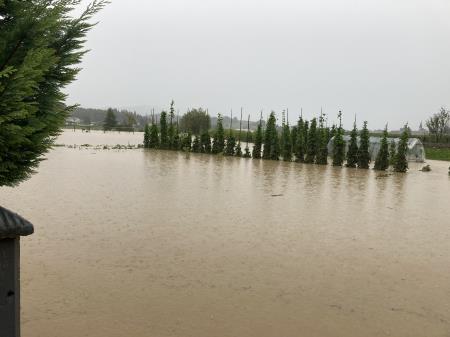 Poplave, plazovi, avgust 2023