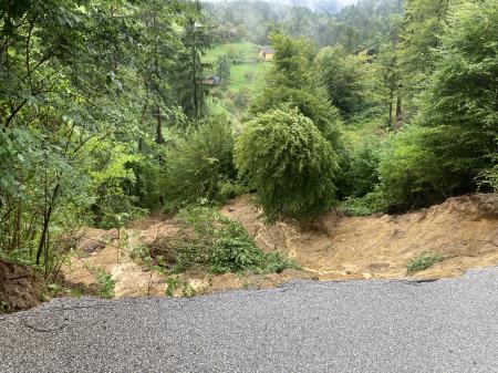 Poplave, plazovi, avgust 2023