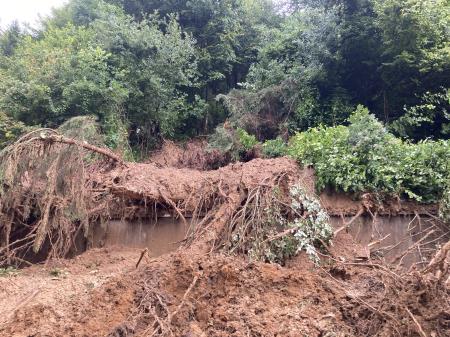 Poplave, plazovi, avgust 2023