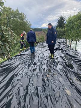 Poplave, plazovi, 6. 8. 2023