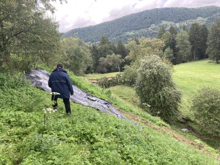 Poplave, plazovi, 6. 8. 2023