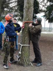 Predstavitev_nega mestnih dreves