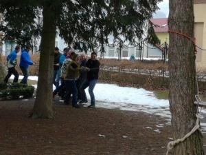 Predstavitev_nega mestnih dreves