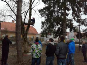 Predstavitev_nega mestnih dreves