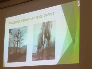 Predstavitev_nega mestnih dreves