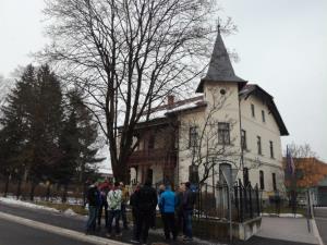Predstavitev_nega mestnih dreves