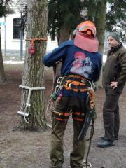 Predstavitev_nega mestnih dreves