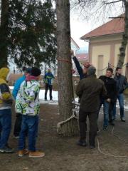 Predstavitev_nega mestnih dreves
