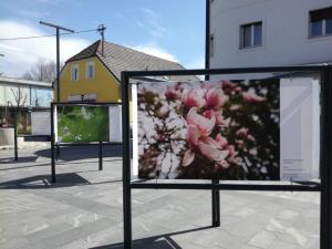 IMG_20180403_125136