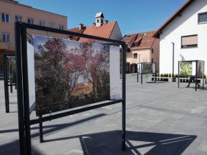IMG_20180403_125259