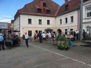Trg v cvetju